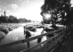 Szary + Sepia