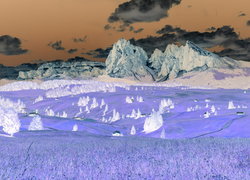 Negatyw