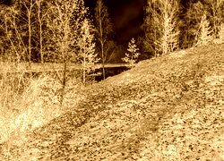Sepia + Negatyw