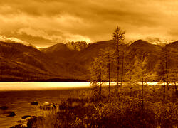 Sepia
