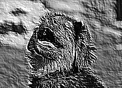 Skamielina