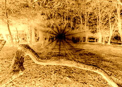 Sepia + Negatyw