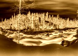 Sepia + Negatyw