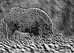 Skamielina