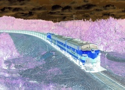 Negatyw
