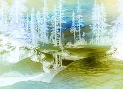 Negatyw