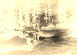 Sepia + Negatyw