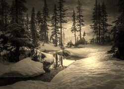 Szary + Sepia