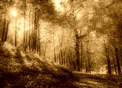 Sepia