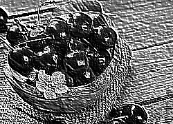 Skamielina