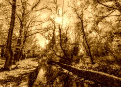 Sepia