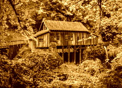 Sepia