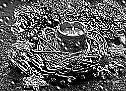 Skamielina