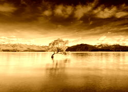 Sepia