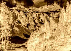 Sepia + Negatyw