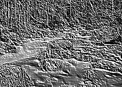 Skamielina