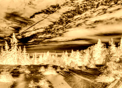 Sepia + Negatyw