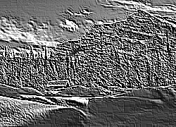 Skamielina
