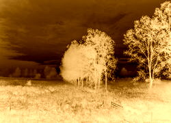 Sepia + Negatyw