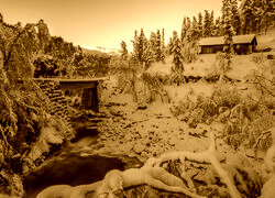 Sepia