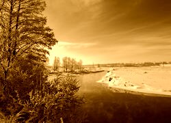 Sepia