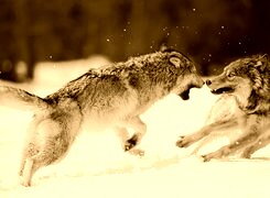 Sepia