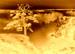 Sepia + Negatyw