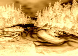 Sepia + Negatyw