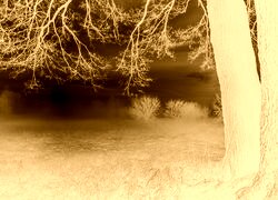 Sepia + Negatyw
