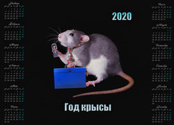 Oryginalny obrazek