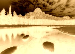 Sepia + Negatyw