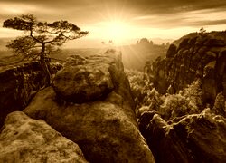 Sepia