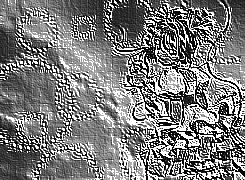 Skamielina
