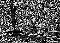 Skamielina
