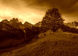 Sepia