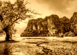 Sepia