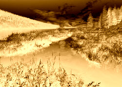 Sepia + Negatyw