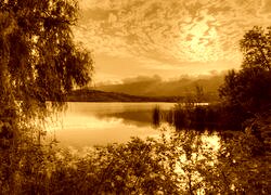 Sepia