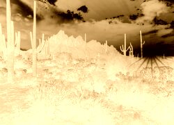 Sepia + Negatyw