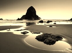 Szary + Sepia