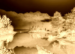 Sepia + Negatyw