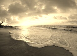 Sepia