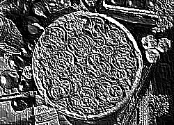 Skamielina