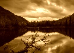 Sepia