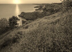 Szary + Sepia