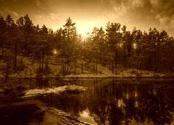 Sepia