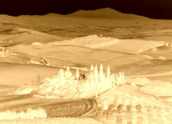Sepia + Negatyw