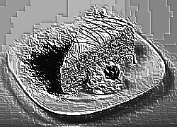 Skamielina
