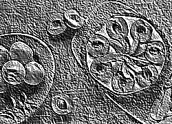 Skamielina