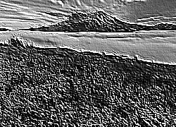 Skamielina
